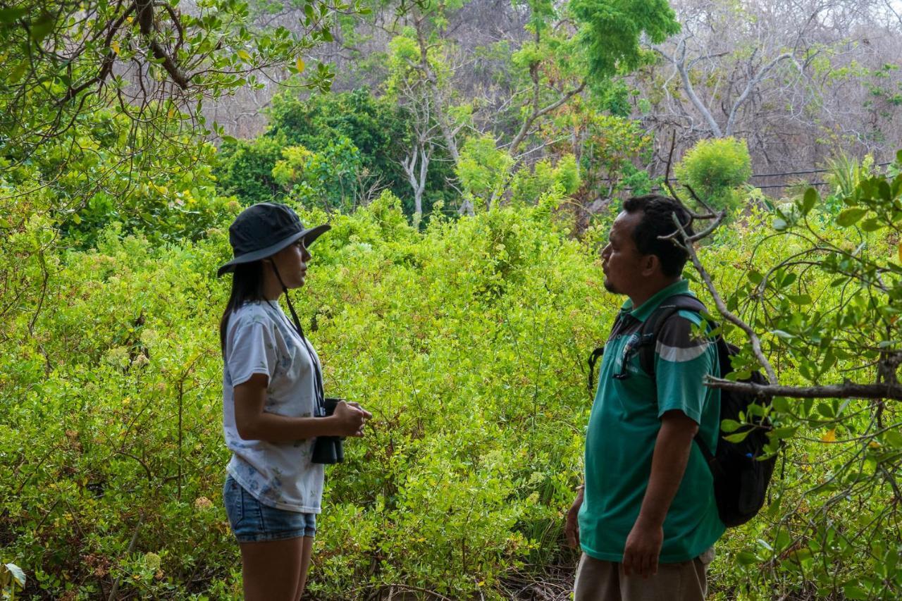 Made Taro - Menjangan Homestay Banyuwedang Dış mekan fotoğraf